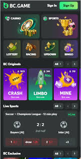 Comprehensive Guide to BC Game Payment Options Comprehensive Guide to BC Game Payment Options